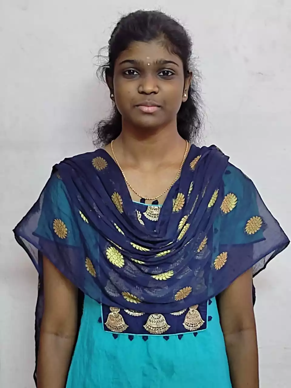 Adi Dravidar / Paraiyar Bride Education Profession