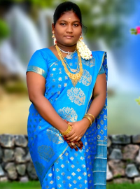 Agamudayar / Arcot / Thuluva Vellala Bride B.A. English Literature